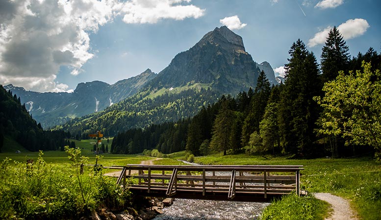 Umzug Glarus