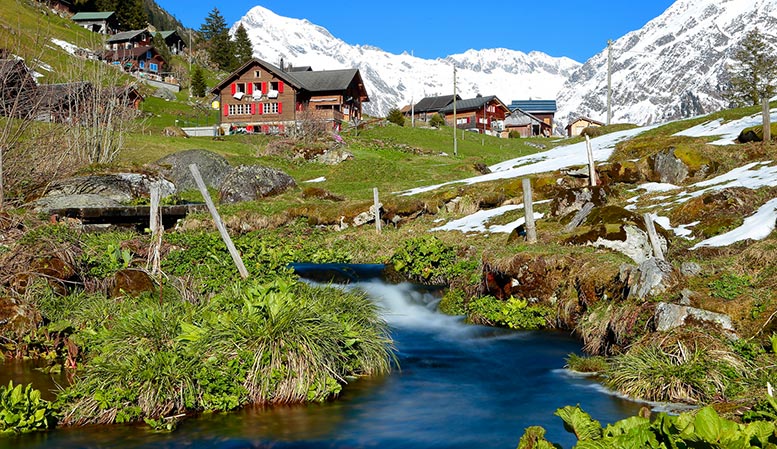 Umzug Uri